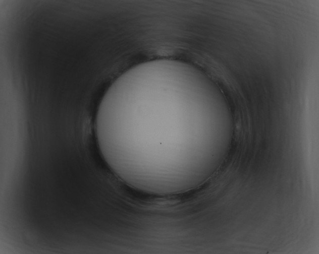 X0000100970555200806241206