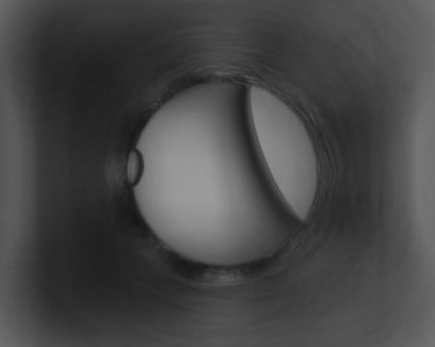 X0000100970559200806241206