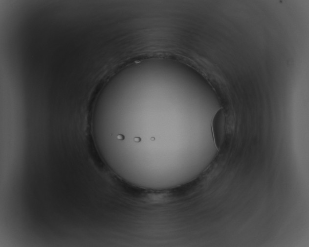 X0000100970560200806241206