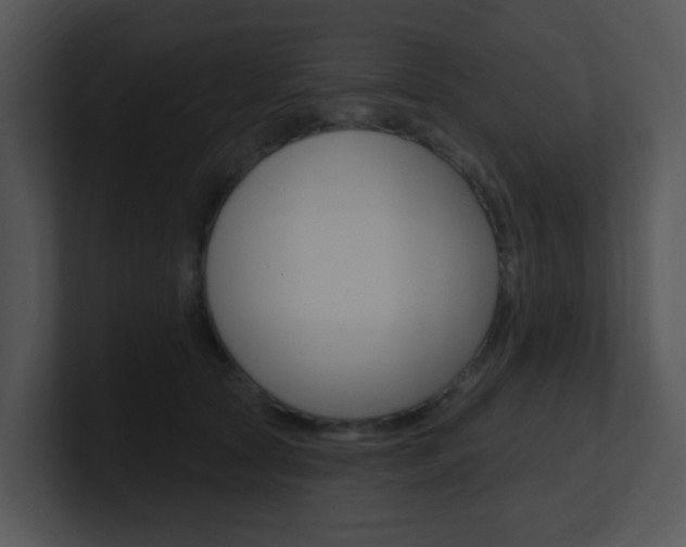 X0000100970561200806241206