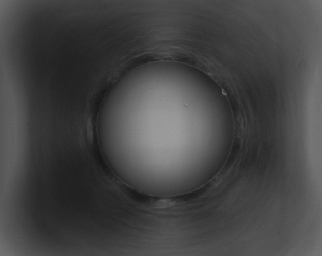 X0000100970562200806241206