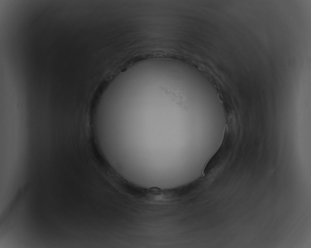 X0000100970564200806241206