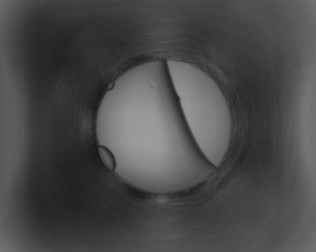 X0000100970565200806241206