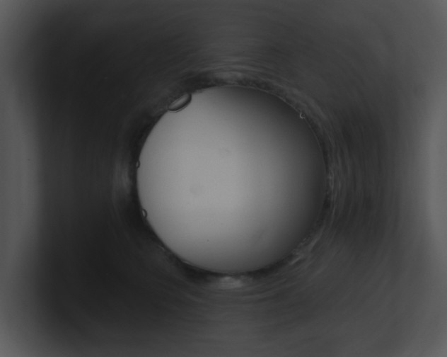 X0000100970566200806241206