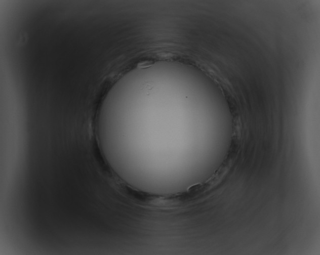 X0000100970568200806241206