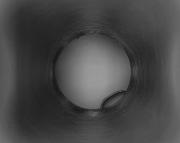 X0000100970570200806241206