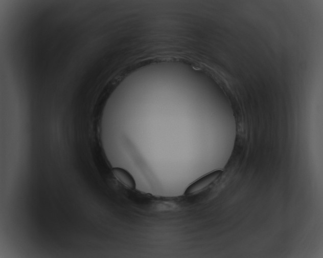X0000100970572200806241206