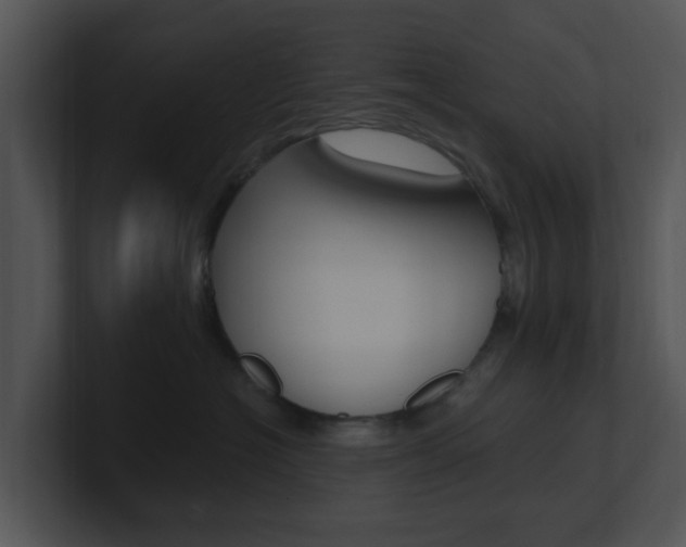 X0000100970574200806241206