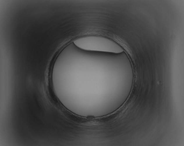 X0000100970578200806241206