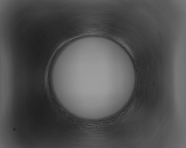 X0000100970579200806241206