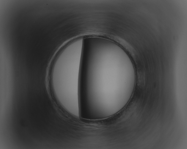 X0000100970580200806241206