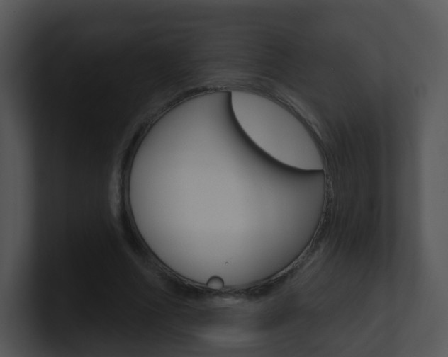 X0000100970586200806241206