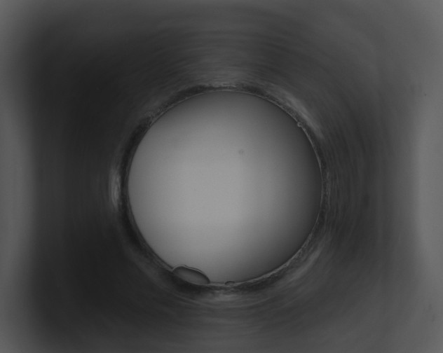 X0000100970589200806241206
