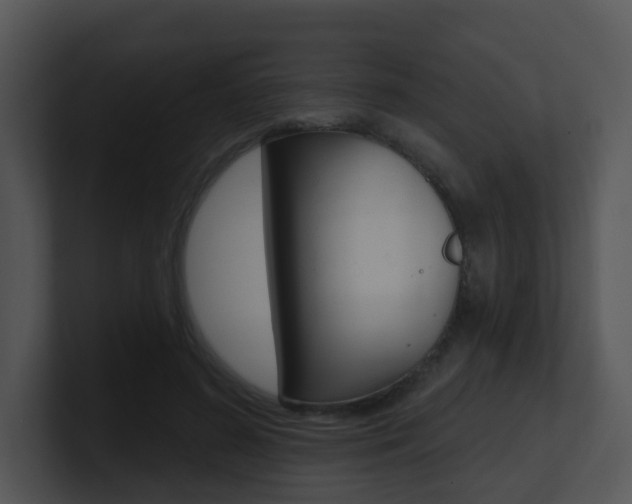 X0000100970596200806241206