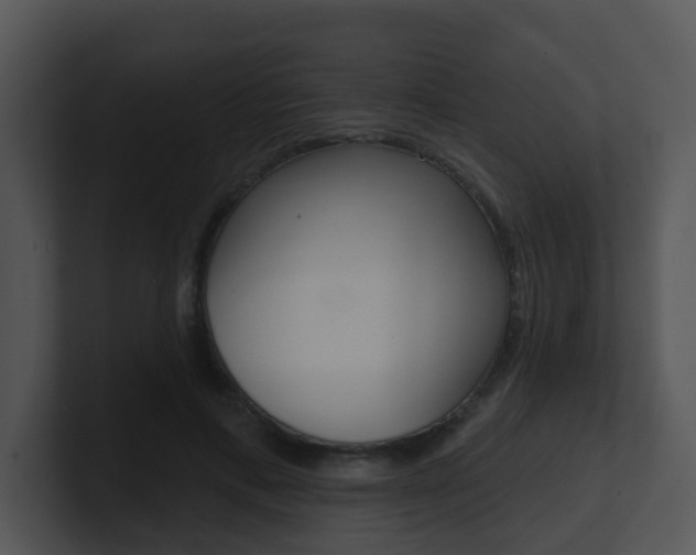 X0000100970597200806241206