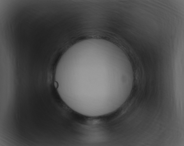 X0000100970602200806241206