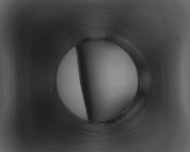 X0000100970604200806241206