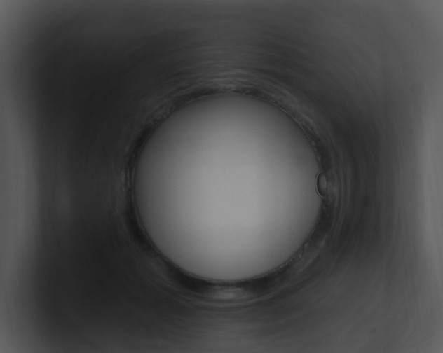 X0000100970605200806241206