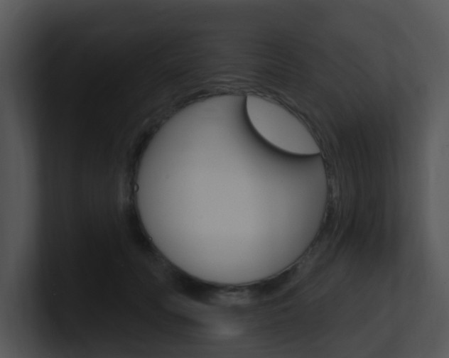 X0000100970606200806241205