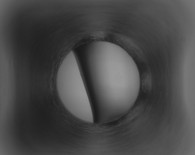 X0000100970608200806241205