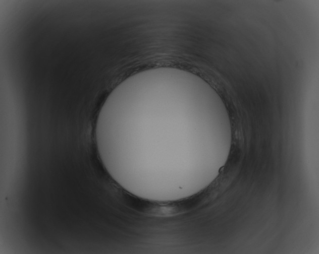 X0000100970610200806241205