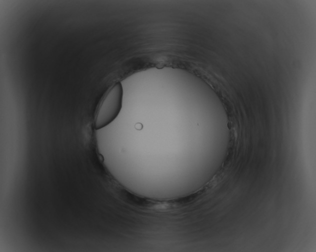 X0000100970611200806241205