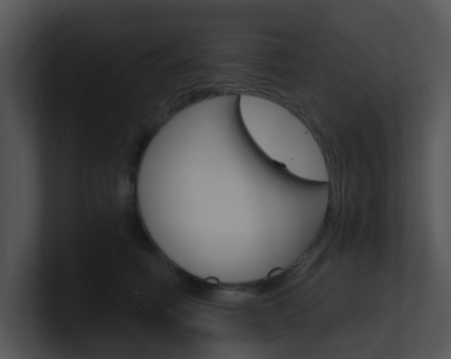 X0000100970614200806241205