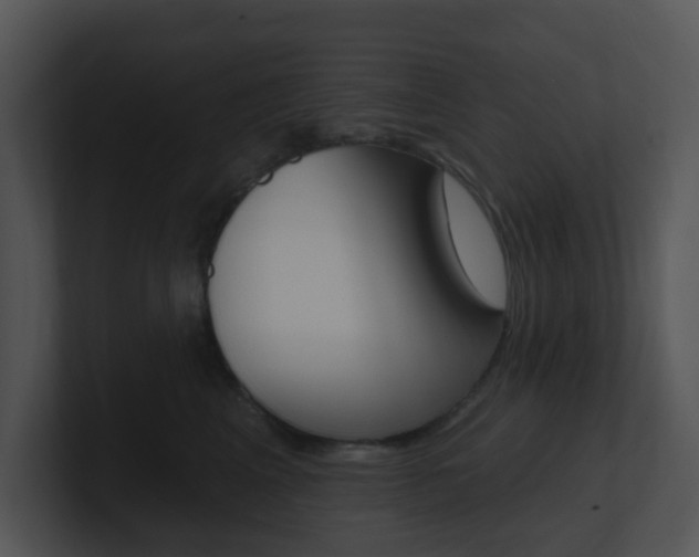 X0000100970617200806241205