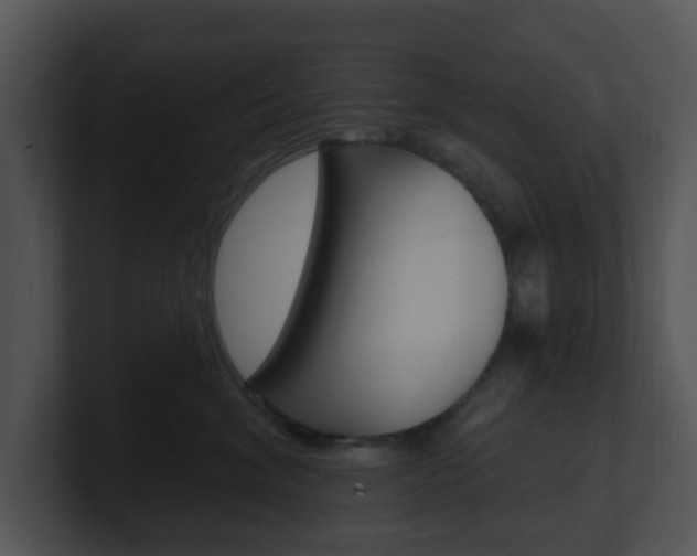 X0000100970620200806241205