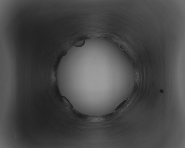 X0000100970621200806241205