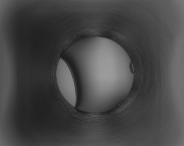 X0000100970624200806241205