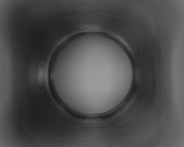 X0000100970629200806241205