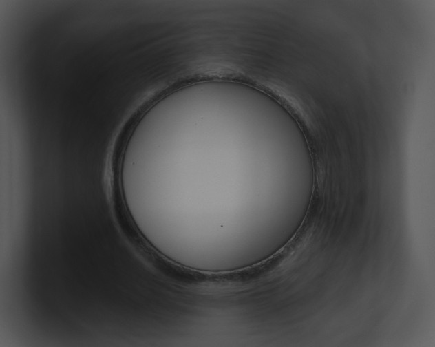X0000100970630200806241205
