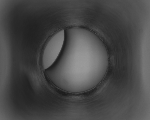 X0000100970638200806241205
