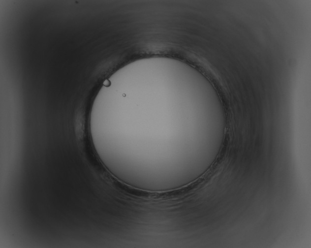X0000100970640200806241205