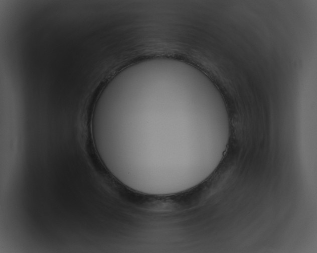 X0000100970642200806241205