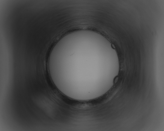 X0000100970646200806241205