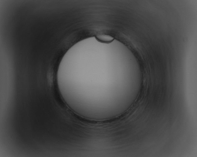 X0000100970647200806241205