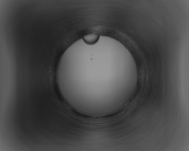 X0000100970653200806241205