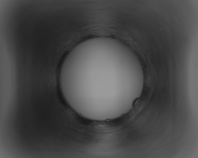 X0000100970658200806241205