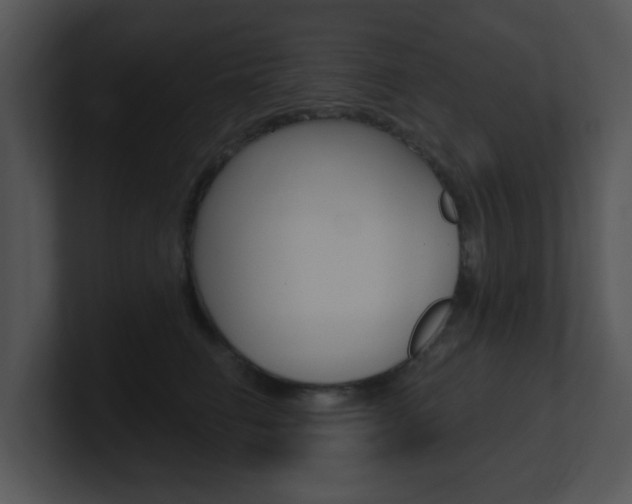 X0000100970662200806241205