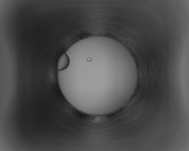 X0000100970663200806241205