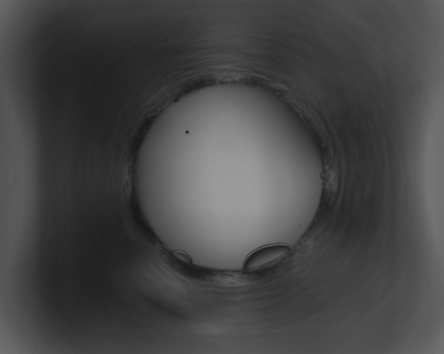 X0000100970666200806241205