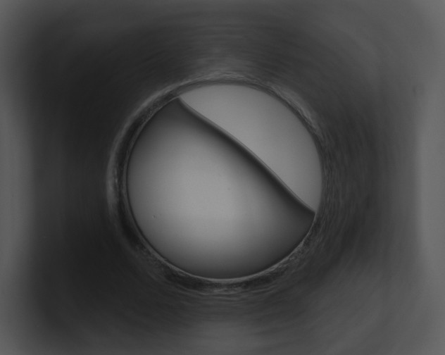 X0000100970680200806241204