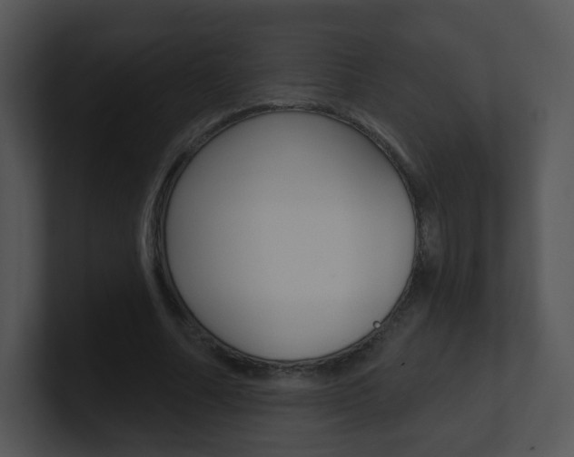 X0000100970682200806241204