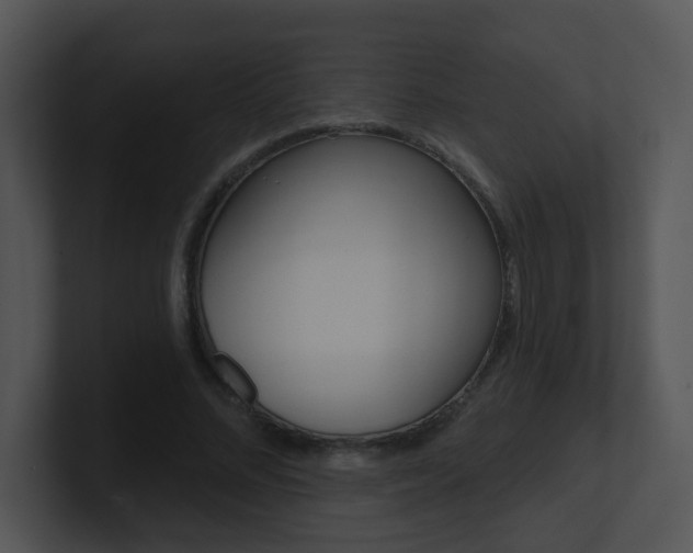 X0000100970684200806241204
