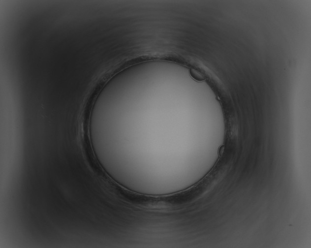 X0000100970685200806241204