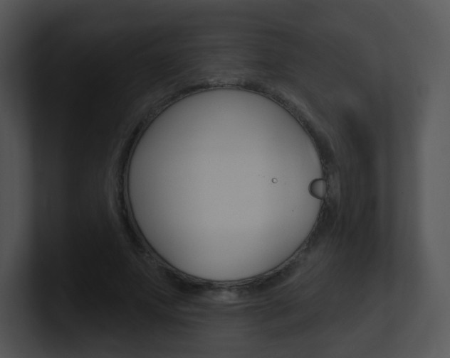 X0000100970687200806241204