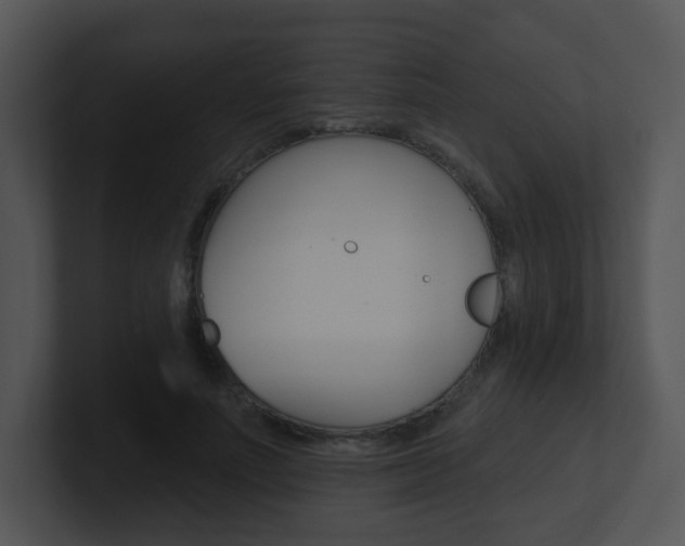 X0000100970691200806241204