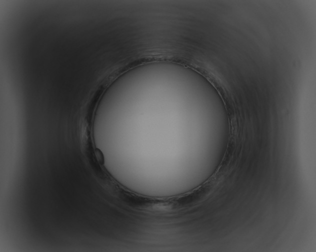 X0000100970692200806241204